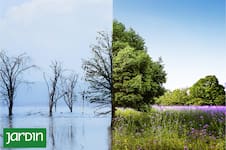 El Acuerdo de París, diez años después: qué se logró y qué falta