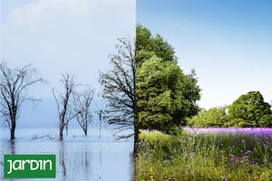 Qué se logró, qué falta y por qué los próximos años serán decisivos