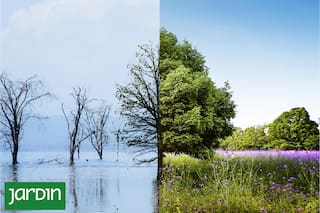 Qué se logró, qué falta y por qué los próximos años serán decisivos