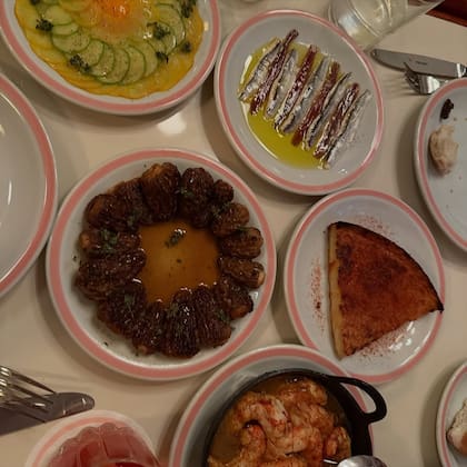 Los elegidos de Dua Lipa en El Preferido de Palermo (Foto: Instagram @dualipa)