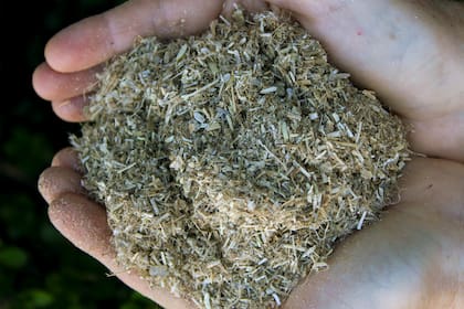 Los embalajes que genera Fungipor son 100% compostables