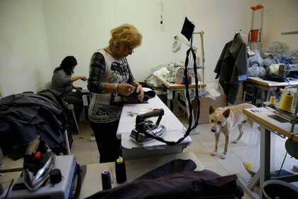 Los empleados Angela y Jenny cosen abrigos para perros mientras el mestizo Akita-Labrador ''Willy'' los acompaña en la sede de la fábrica Temellini,