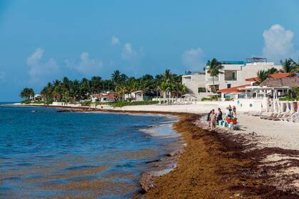 Los empleados de los resorts se ven obligados a limpiar las playas cada día.