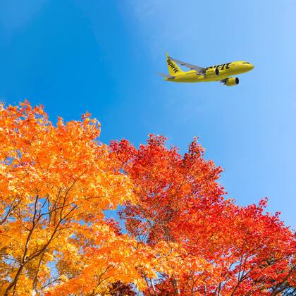 Los empleados habrían estafado a Spirit Airlines 