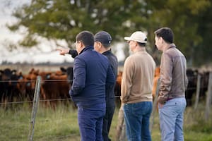 Una importante delegación de Kazajistán busca en la Argentina miles de vacas