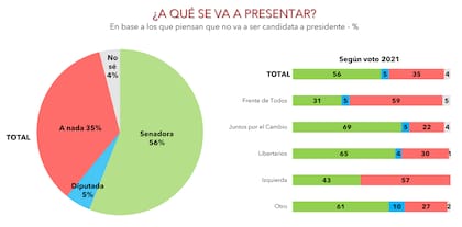 Los encuestados creen, mayoritariamente, que Cristina no será candidata a presidenta, pero sí a senadora