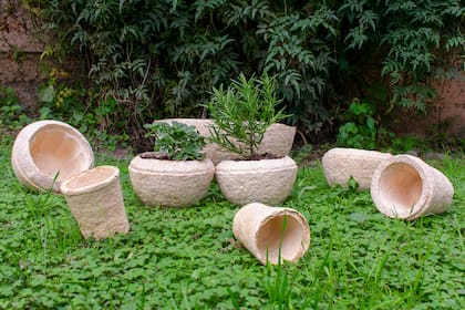 Los envases elaborados con micelio intentan reemplazar el telgopor