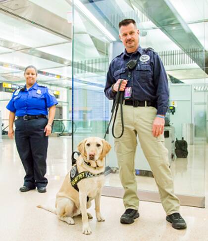 Los equipos de adiestramiento canino están conformados por un oficial y un perro detector de explosivos