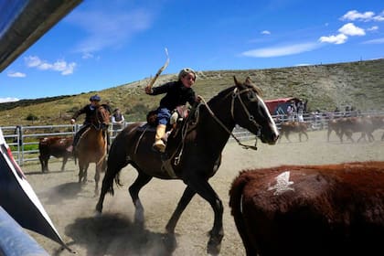 Los equipos están formados por hombres y mujeres, niños y abuelos