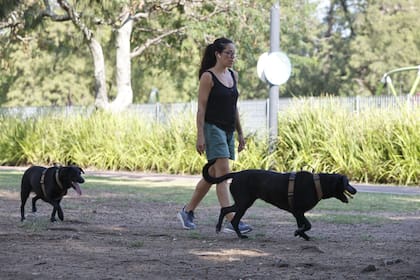 Los espacios verdes funcionan como un gran circuito urbano para caminar, explorar y socializar con animales