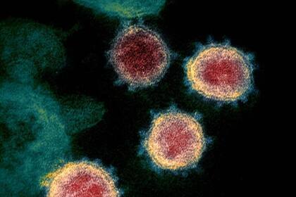 Los especialistas advierten sobre el riesgo de nuevas variantes del virus