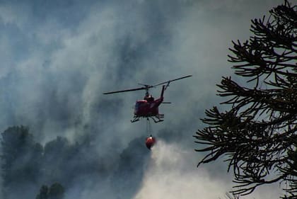 Los especialistas advierten sobre la poca capacidad del Estado para responder a incendios forestales