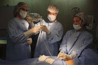 Trasplantes: en dos años podría realizarse el primero de cerdo a humano