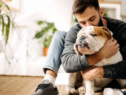Los especialistas coinciden en que la prevención es fundamental, mantener una alimentación equilibrada, controlar las porciones, evitar el exceso de premios y promover el ejercicio diario son medidas clave para reducir riesgos