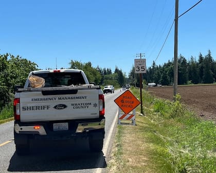 Los especialistas señalaron que se trataba de abejas melíferas y aclararon que sus picaduras no eran graves