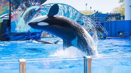 Los espectáculos tienen un lado oscuro