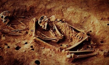 Los esqueletos llamados Checua cuentan un material genético diferente al resto de linajes que llegaron a América del Sur hace más de 10.000 años