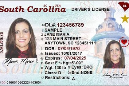 Los estados que sí otorguen licencias de conducir a indocumentados, deberán emitirlas con algún distintivo especial