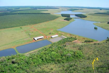 Los estanques donde hacen la producción y cría de las especies