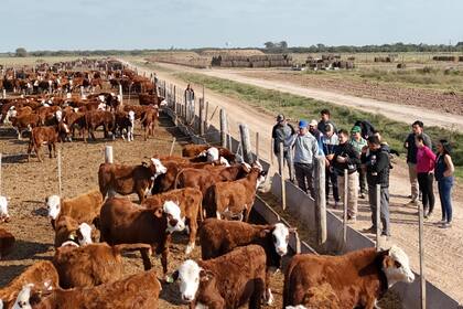 Los estudiantes en el campo del funcionario