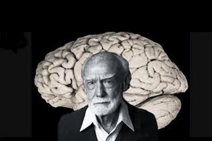 Los estudios de Roger Wolcott Sperry han sido de gran utilidad en el estudio del cerebro.