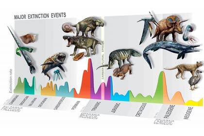 Los eventos de extinción masiva a lo largo de diferentes períodos