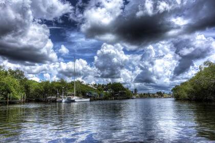 Los Everglades y otras zonas del oeste de Florida son el hogar de especies amenazadas