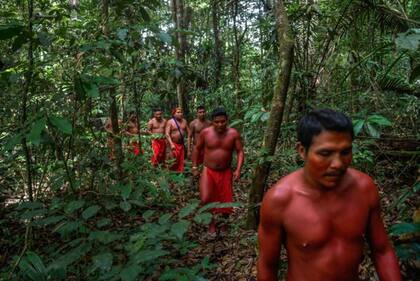 Los excursionistas están solicitando a varias comunidades indígenas su apoyo para poder atravesar la selva de manera segura.