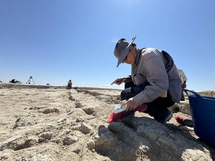 Los expertos aseguran que la calle data del 7450 a.C. (Fuente: Turkiye Today / AA)