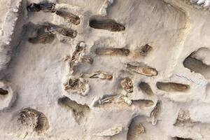 Descubren tumbas de niños de hace mil años y revelan la terrorífica causa de muerte