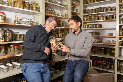 Los expertos de la Fundación Miguel Lillo trabajan con dedicación.