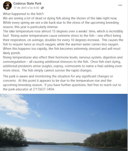 Los expertos del Codorus State Park informaron sobre los peces muertos a través de sus redes sociales