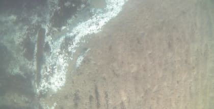 Los expertos dicen que las zonas muertas que se extienden por el mar pueden alcanzar un tamaño comparable al de Irlanda