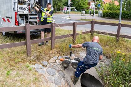 Los expertos indicaron que iban a rastrear todo el lugar para determinar las condiciones en las que estuvo durante tanto tiempo