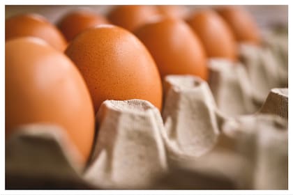 Los expertos no recomiendan superar la ingesta de 6 huevos por semana