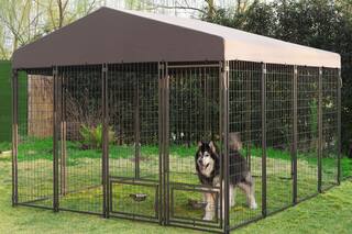 Caniles para perros: cómo son, los precios y las alternativas para construir uno