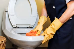 Los expertos recomiendan realizar una limpieza del baño diaria para evitar la acumulación de bacterias