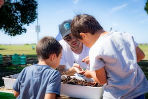 Tres iniciativas que ofrecen recursos accesibles