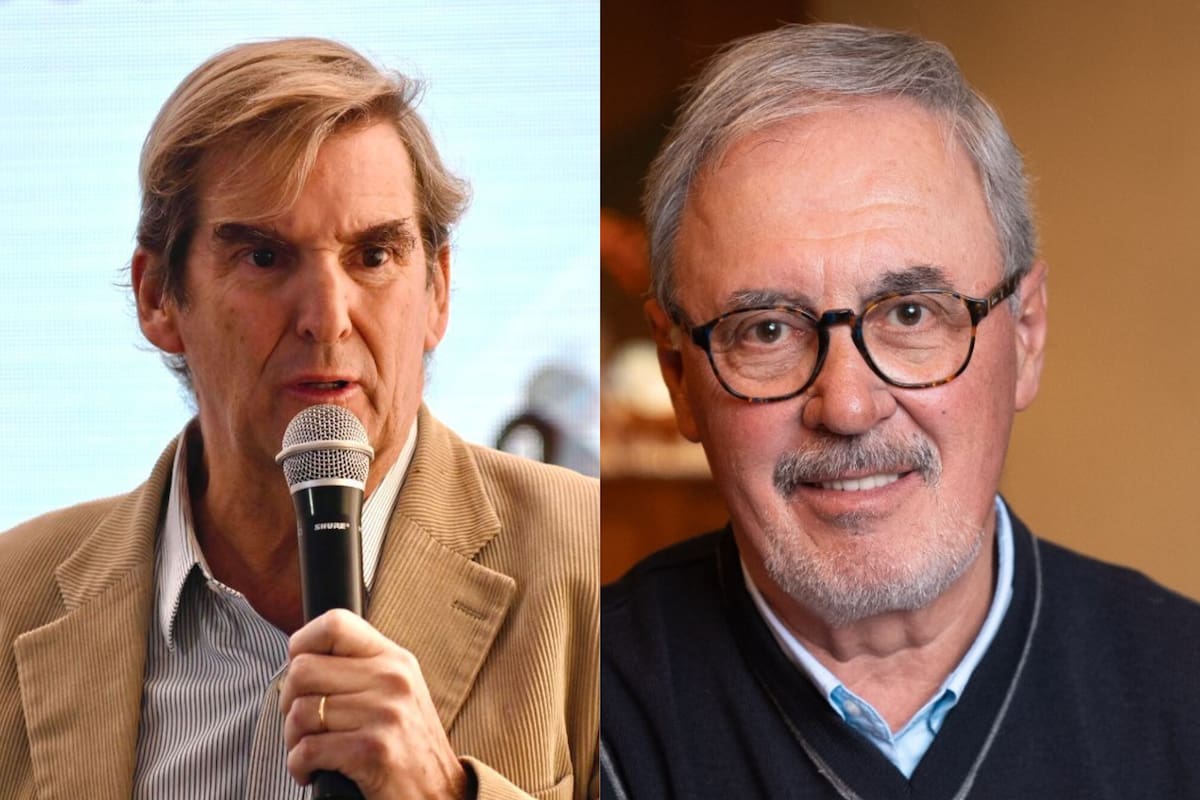 ¿Tiene impacto? En el campo se abrió un debate sobre “los dólares del colchón”