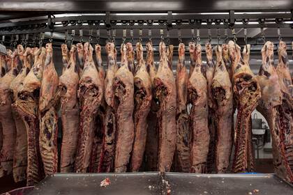 Los exportadores destacan que hay previsibilidad para vender al mundo