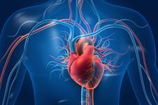 Una eminencia en cardiología explica por qué las mujeres tienen que tener más cuidado
