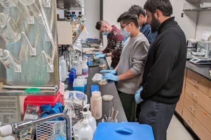 Los fagos se pueden utilizar para el desarrollo de terapias para enfermedades crónicas resistentes a los antibióticos (Instagram ericamhartmann)