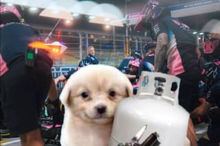 Los mejores memes de la carrera de Colapinto en Singapur