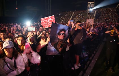 Los fans en uno de los recitales de la última gira de Tan Biónica en el estadio Minela de Mar del Plata