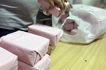 Los fantomas de músculos deltoides en los que practicarán los vacunadores en la provincia de Buenos Aires.