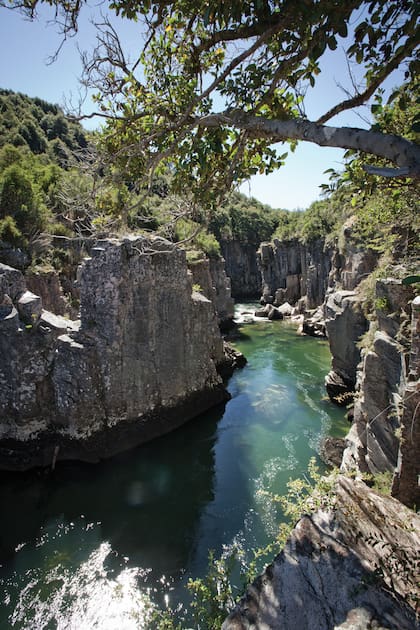 Los farallones de más de 30 metros de altura por donde corre el tumultuoso río Pico, que aquí cambia de color según la luz.