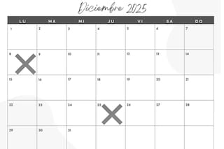 Cuáles son los días festivos, asuetos y el fin de semana XL de diciembre