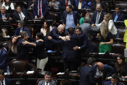 Los festejos de los diputados del oficialismo y sus aliados