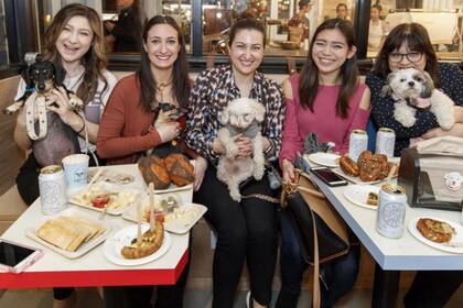 Los fines de semana en Boris & Horton se realizan grandes eventos de adopción de perros. Fotos: Boris & Horton