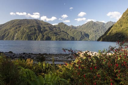 Los fiordos de la Patagonia chilena, el marco excepcional en el que está inmerso el Parque Pumalín.
